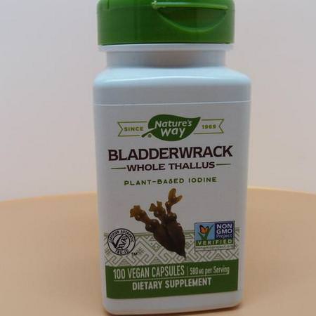 Nature's Way Bladderwrack - Bladderwrack, Homeopati, Örter