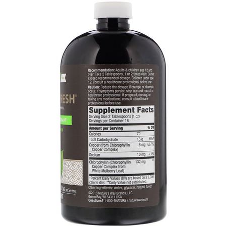 Klorofyll, Superfoods, Green, Supplements: Nature's Way, Chlorofresh, Liquid Chlorophyll, Mint Flavored, 16 fl oz (473.2 ml)