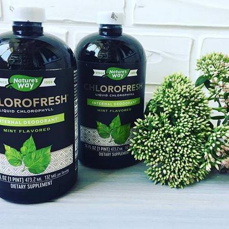 Nature's Way Chlorophyll - Klorofyll, Superfoods, Green, Supplements