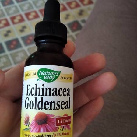 Nature's Way Goldenseal, Echinacea, Homeopati, Örter