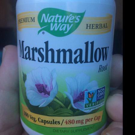 Nature's Way Marshmallow Root - Marshmallowrot, Homeopati, Örter