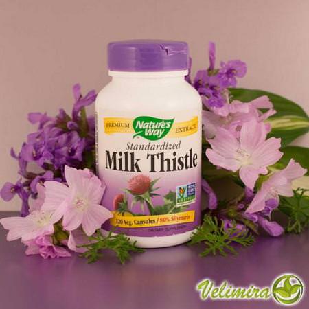 Nature's Way Milk Thistle Silymarin Liver Formulas - Lever, Kosttillskott, Mjölktistel Silymarin, Homeopati