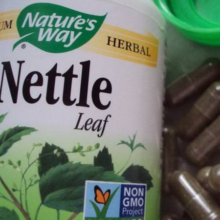 Nature's Way Nettle - Nässlor, Homeopati, Örter