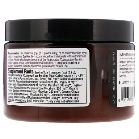 Örter, Homeopati, Örter, Svampimmun: Nature's Way, Premium Herbal Blend, Immune Powder, 3.1 oz (88 g)