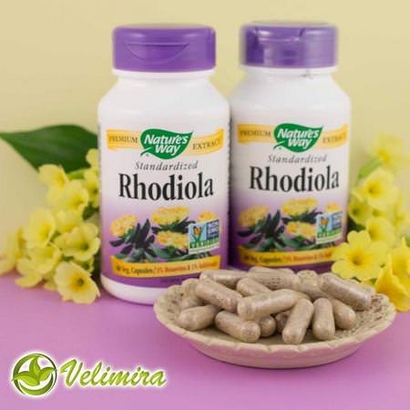 Nature's Way Rhodiola - Rhodiola, Homeopati, Örter