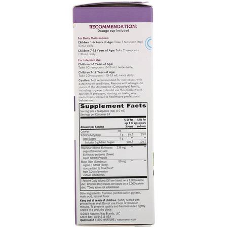 Immun, Kosttillskott, Barnörter, Homeopati: Nature's Way, Sambucus For Kids, Standardized Elderberry, Original Syrup, 8 fl oz (240 ml)