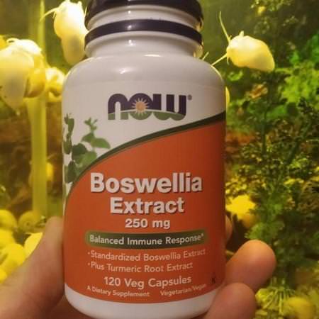 Boswellia, Homeopathy