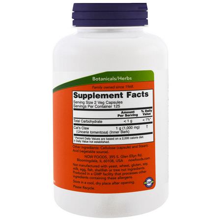 Cat's Claw Una De Gato, Homeopati, Örter: Now Foods, Cat's Claw, 500 mg, 250 Veg Capsules
