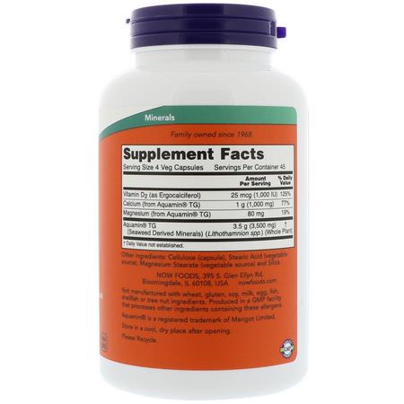 Alger, Superfoods, Green, Supplements: Now Foods, Red Mineral Algae, 180 Veg Capsules