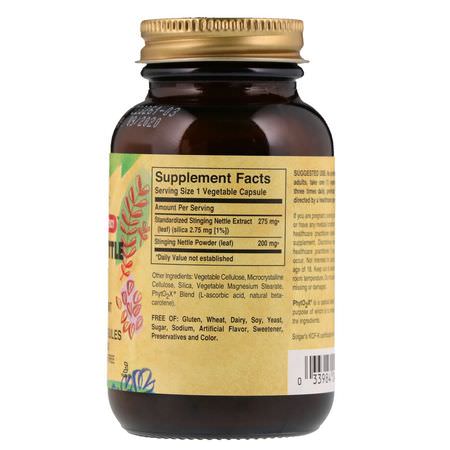 Nässlor, Homeopati, Örter: Solgar, Stinging Nettle Leaf Extract, 60 Vegetable Capsules