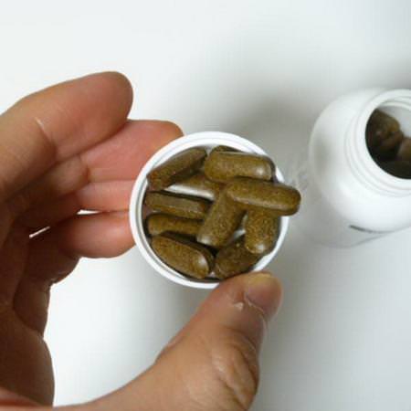 Gymnema, Homeopati, Örter: Source Naturals, Gymnema Sylvestre, 450 mg, 120 Tablets