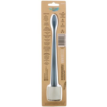 Tandborstar, Oral Care, Bath: The Natural Family Co, Biodegradable Cornstarch Toothbrush, Monsoon Mist, Soft, 1 Toothbrush & Stand